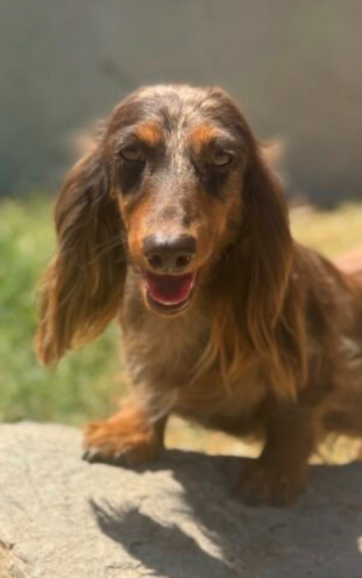 Une pin up du domaine de luard